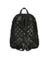 Ruthenium Quilted Falabella Backpack, back view